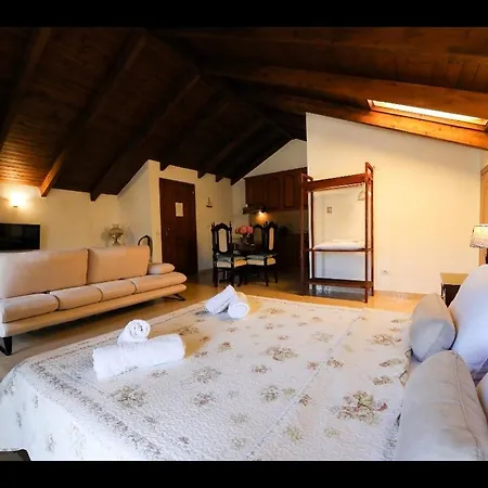 Lägenhetshotell Athina 4*